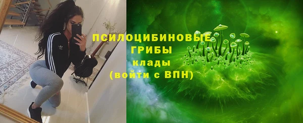ECSTASY Покачи