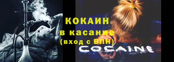 ГАЛЛЮЦИНОГЕННЫЕ ГРИБЫ Михайлов