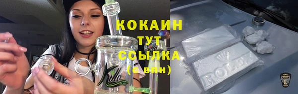 ГАЛЛЮЦИНОГЕННЫЕ ГРИБЫ Михайлов