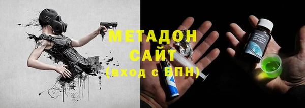 ГАЛЛЮЦИНОГЕННЫЕ ГРИБЫ Михайлов