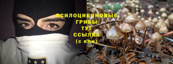ешки Михайловск