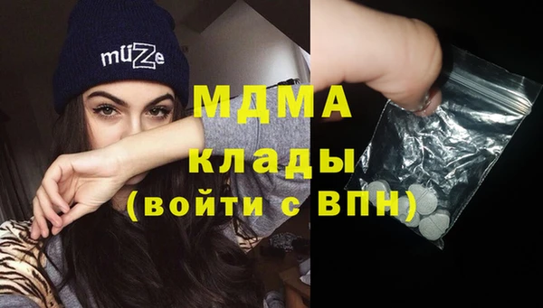 ГАЛЛЮЦИНОГЕННЫЕ ГРИБЫ Михайлов